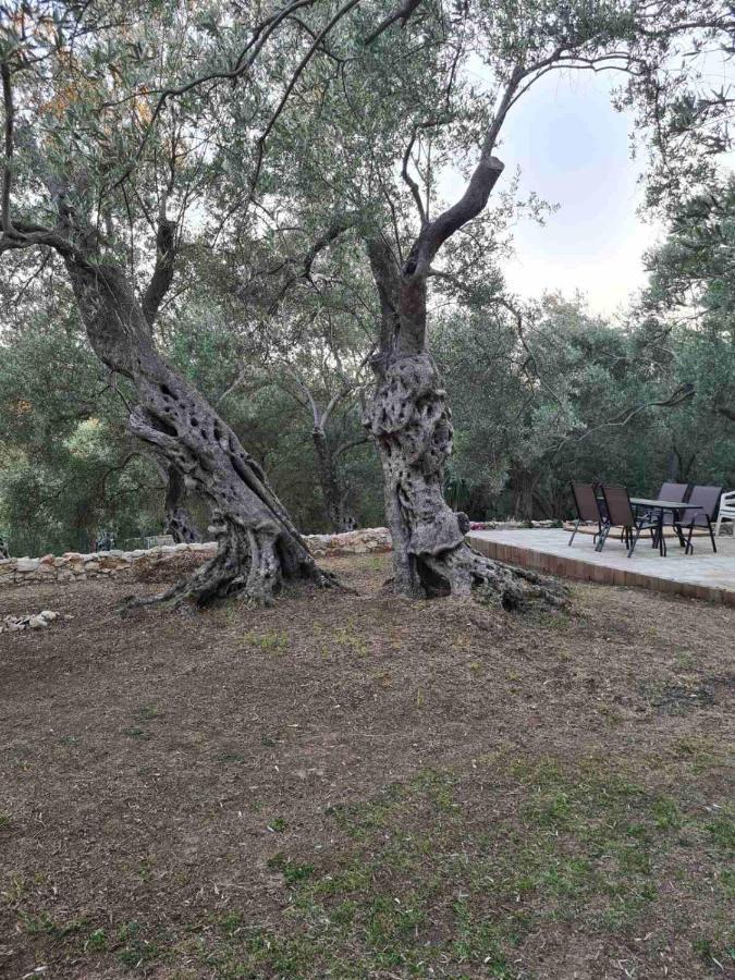 Olea Cottage Улцинь Экстерьер фото